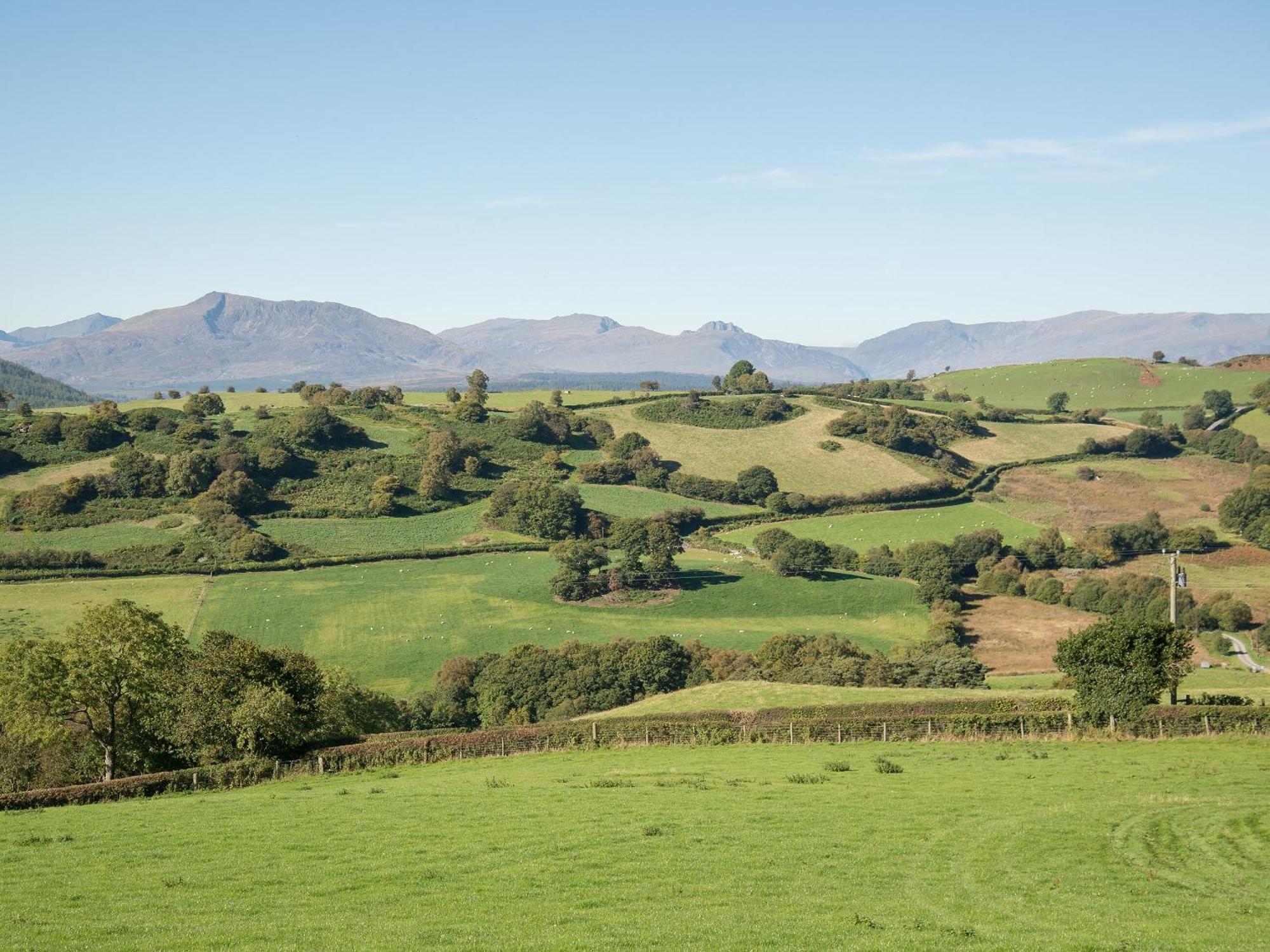 Cefn Bach Villa Capel Garmon Bagian luar foto